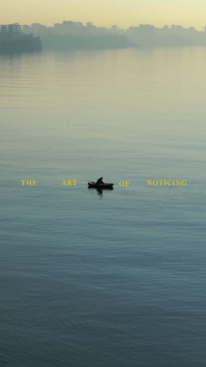 The Art of Noticing