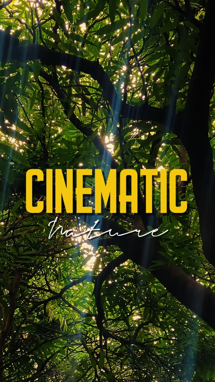 KINEMATIC NA KALIKASAN 