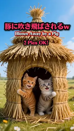 豚に吹き飛ばされちゃうよ🐖2枚でもOK！