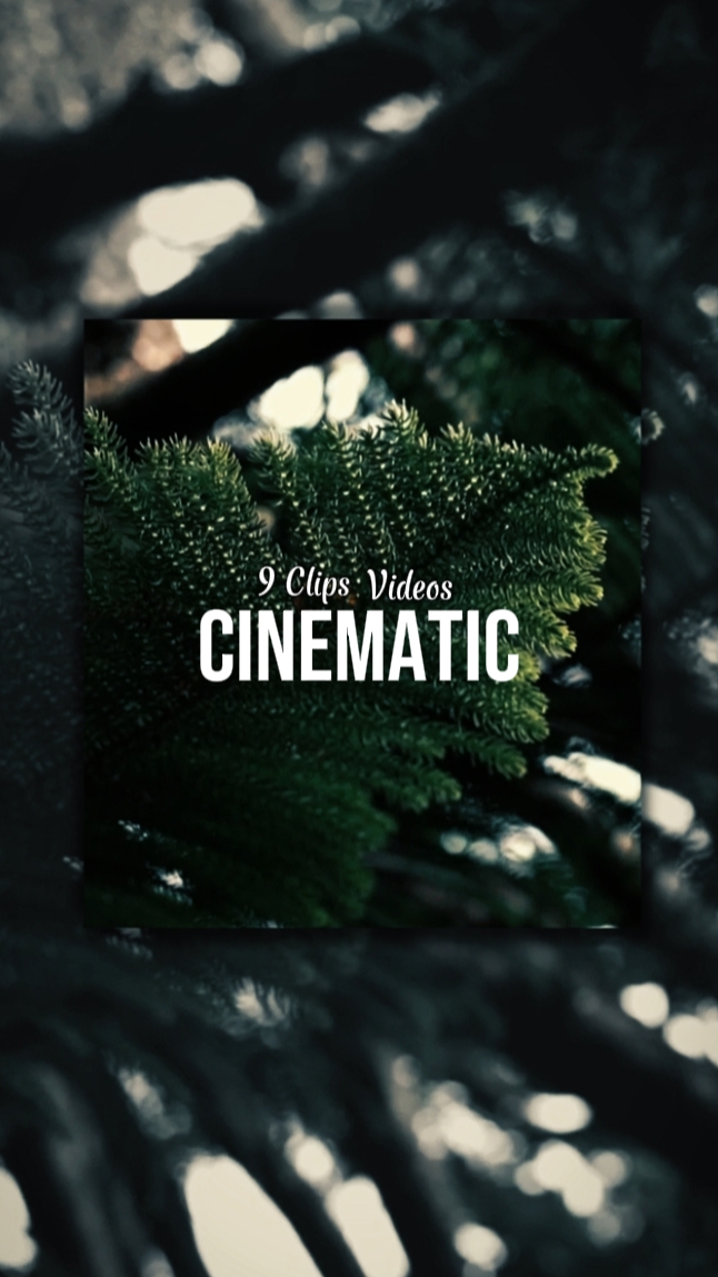9 CLIPS CINEMATIC