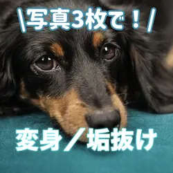 変身/垢抜け動画✨📷3枚!