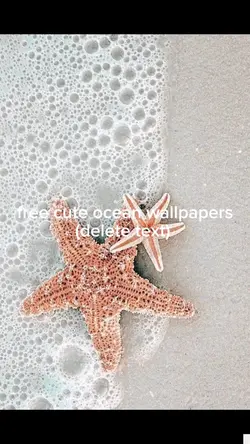 ocean wallpapers