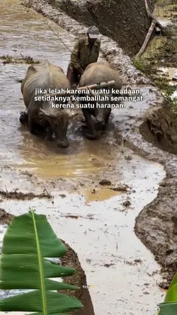 kembalilah semangat