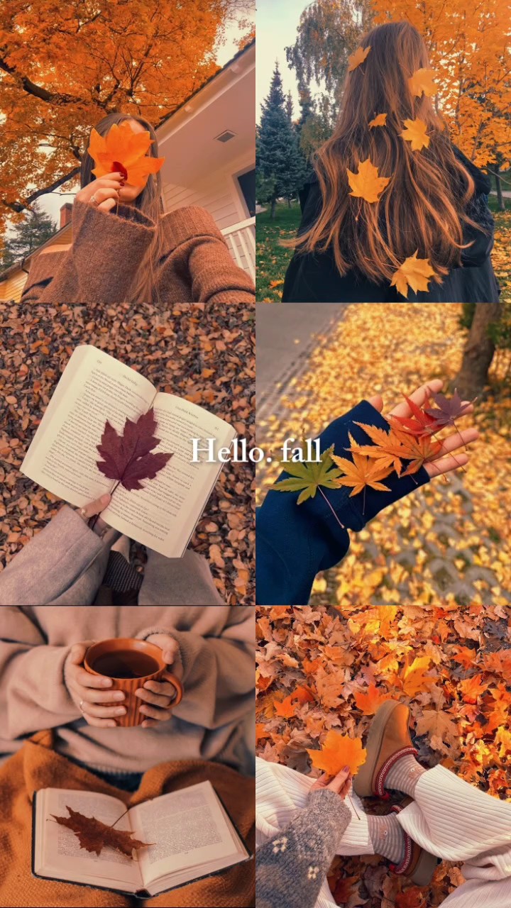 autumn wallpaper 
