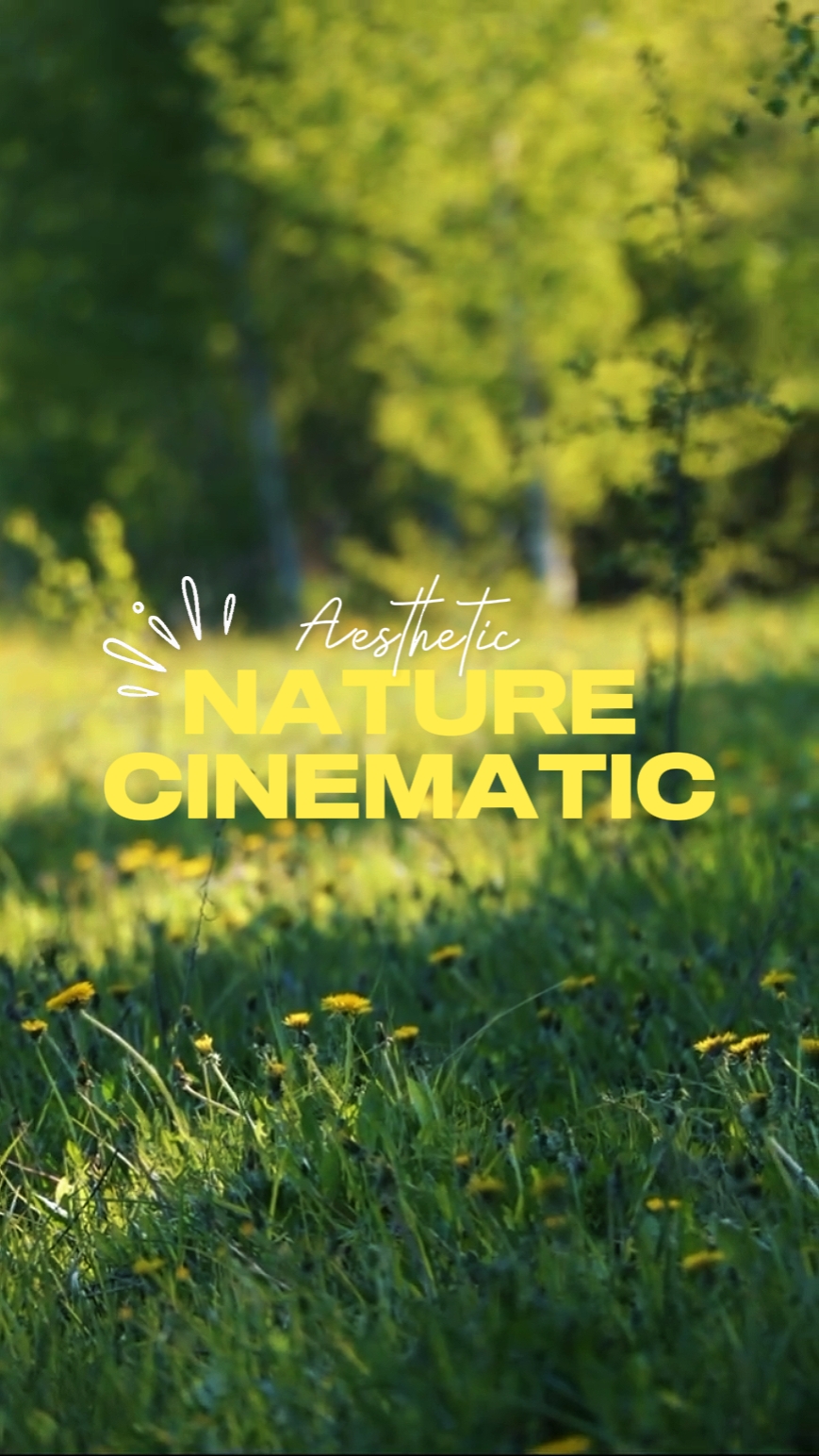 nature cinematic
