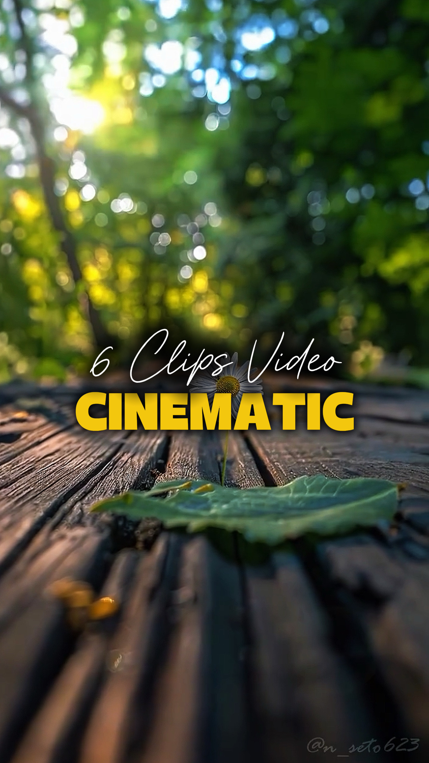 6 Videos Cinematic 