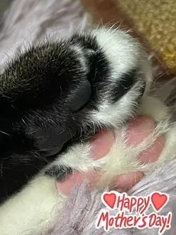 ママへのプレゼント