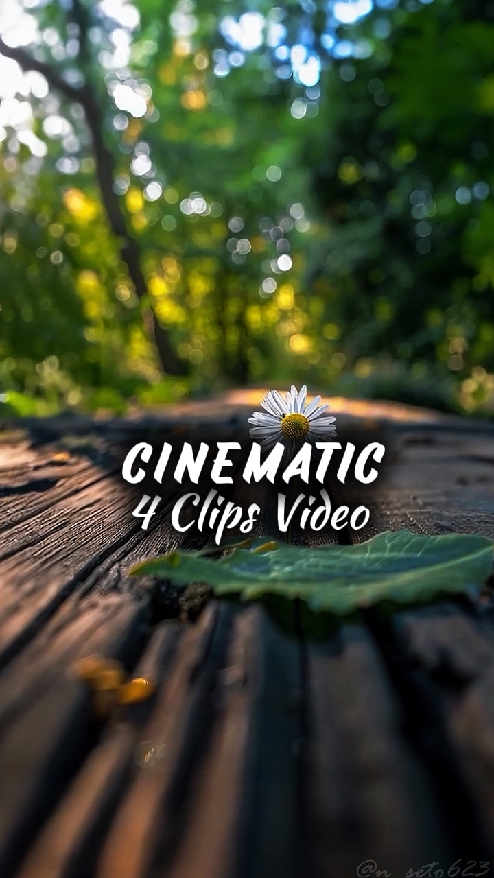 4 CLIPS VIDÉO HD 