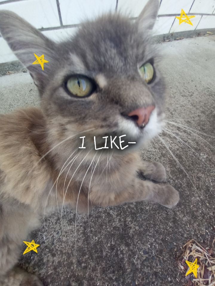 I LIKE POTATOES<3
