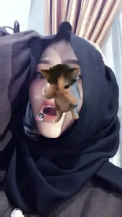 JJ kucing joged