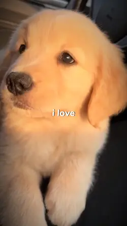 i love