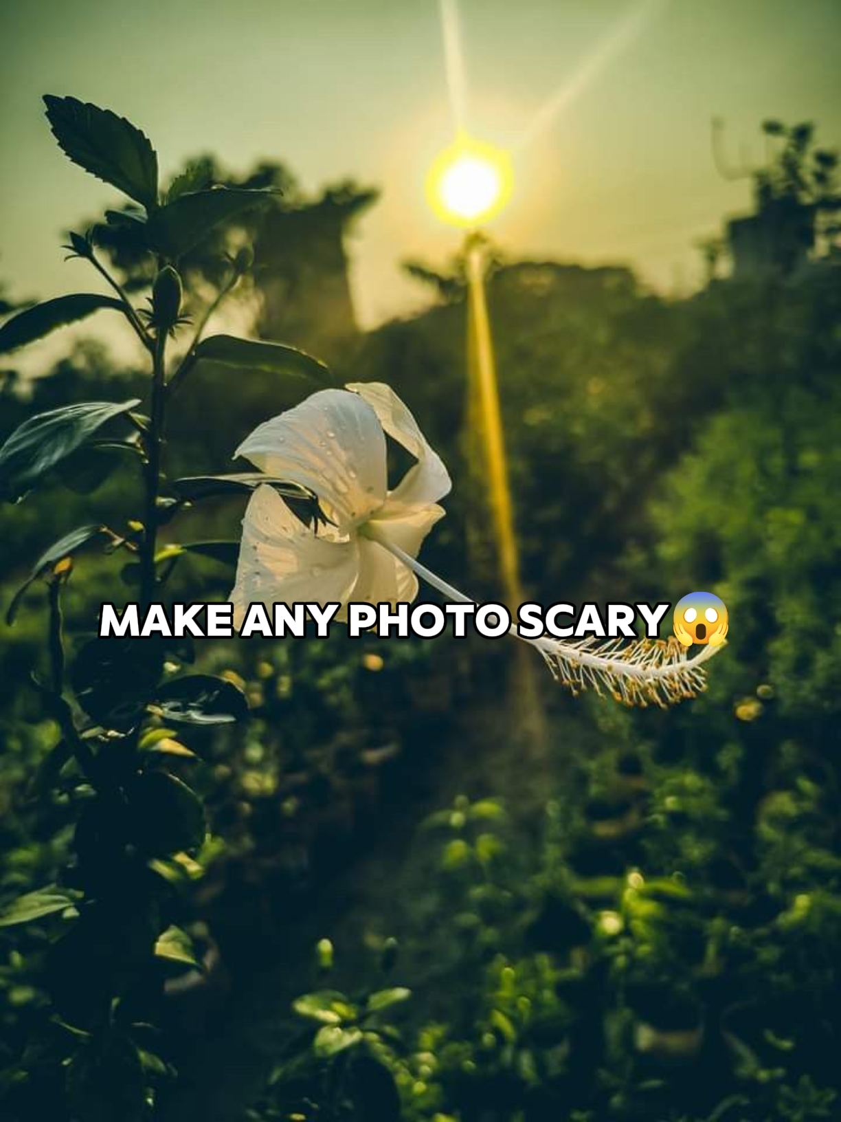 fotoğraf korkutucu 