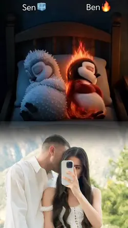 Bir Aşk Hikayesi