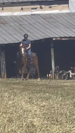 Old video:)