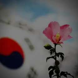 6월 6일 현충일
