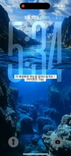배경화면 
