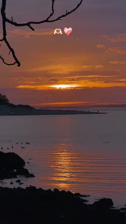 Sana vuruldum diye