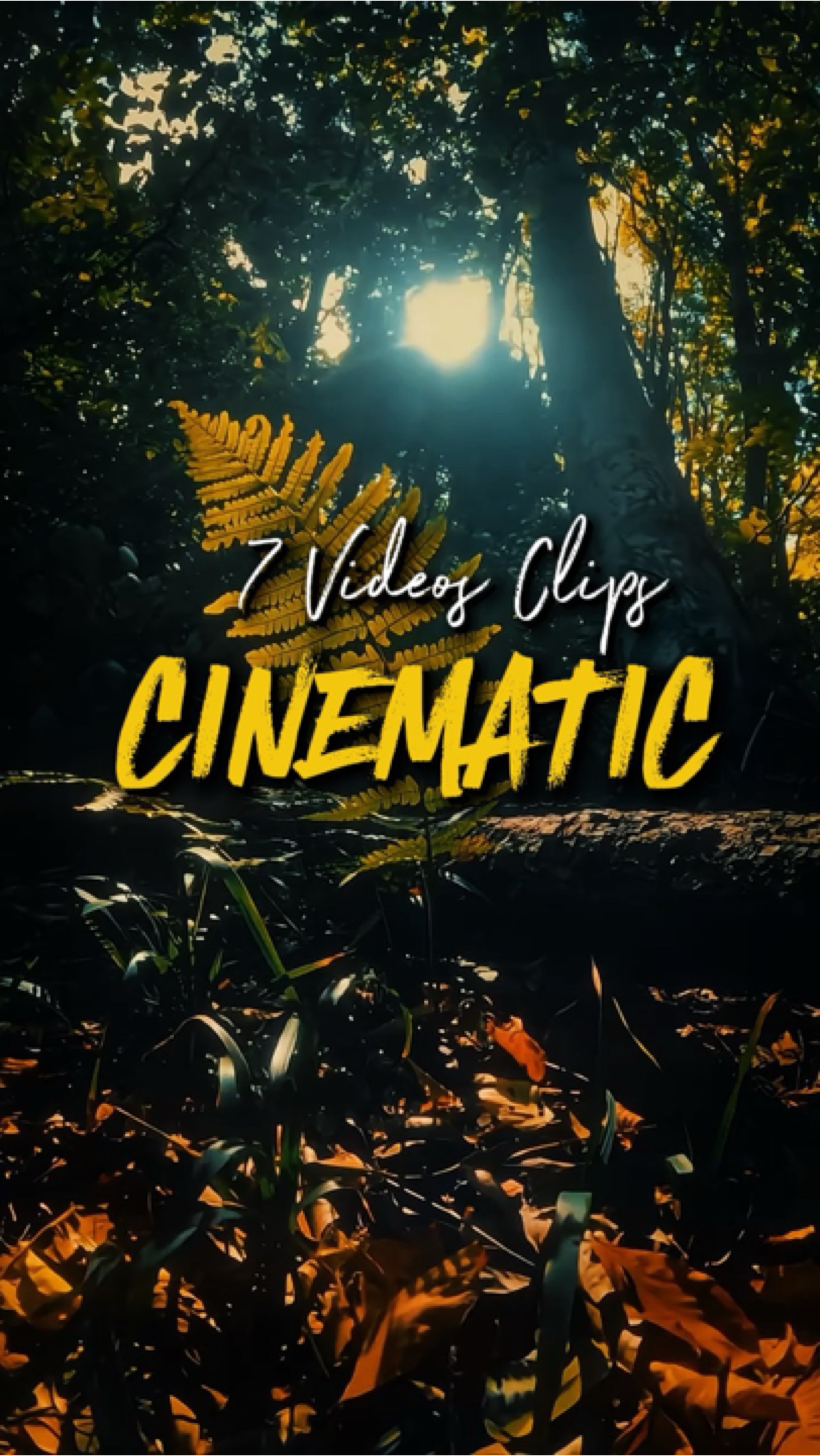 Cinematic 7 Videos 
