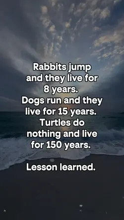 Lesson learned