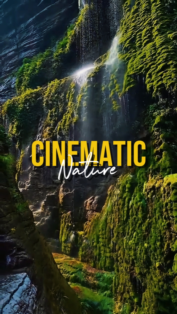 NATURE CINEMATIC