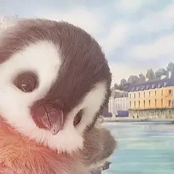 penguin trend
