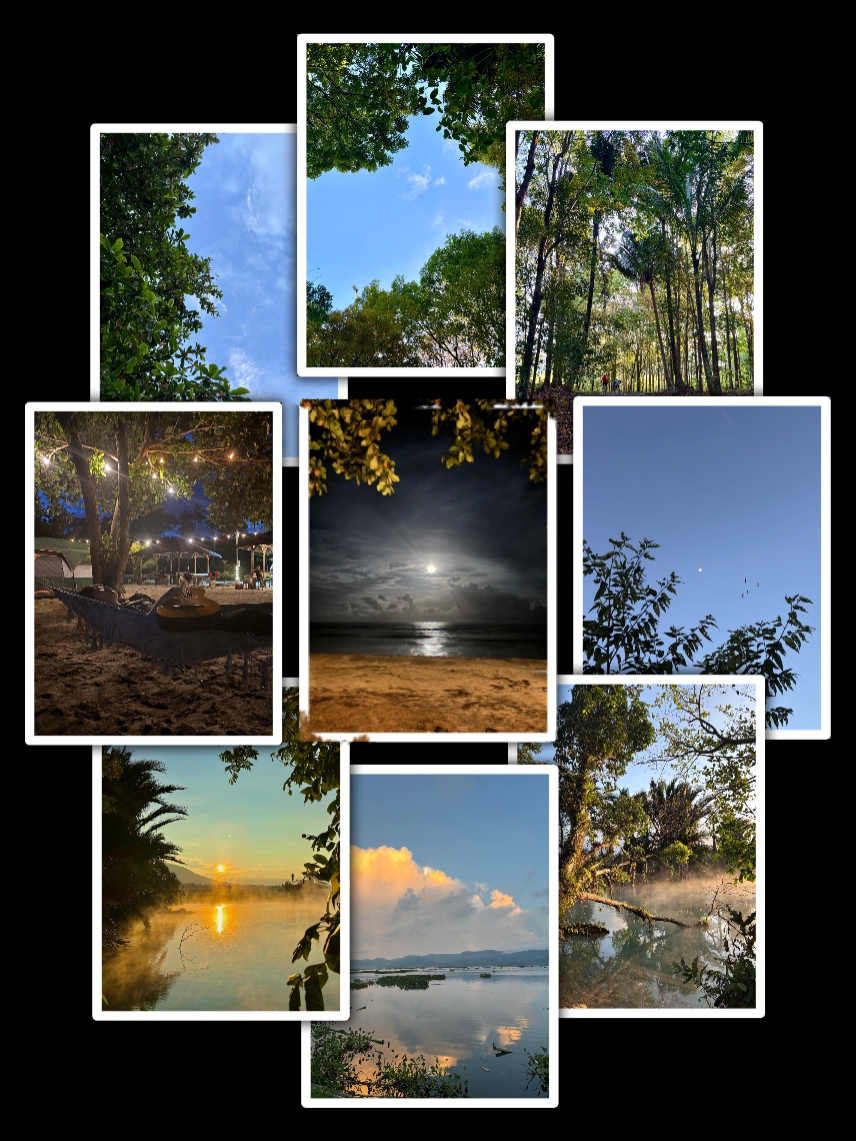 Clip de 9 fotos estético