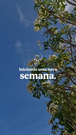 Nova semana