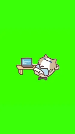 duoyin cat