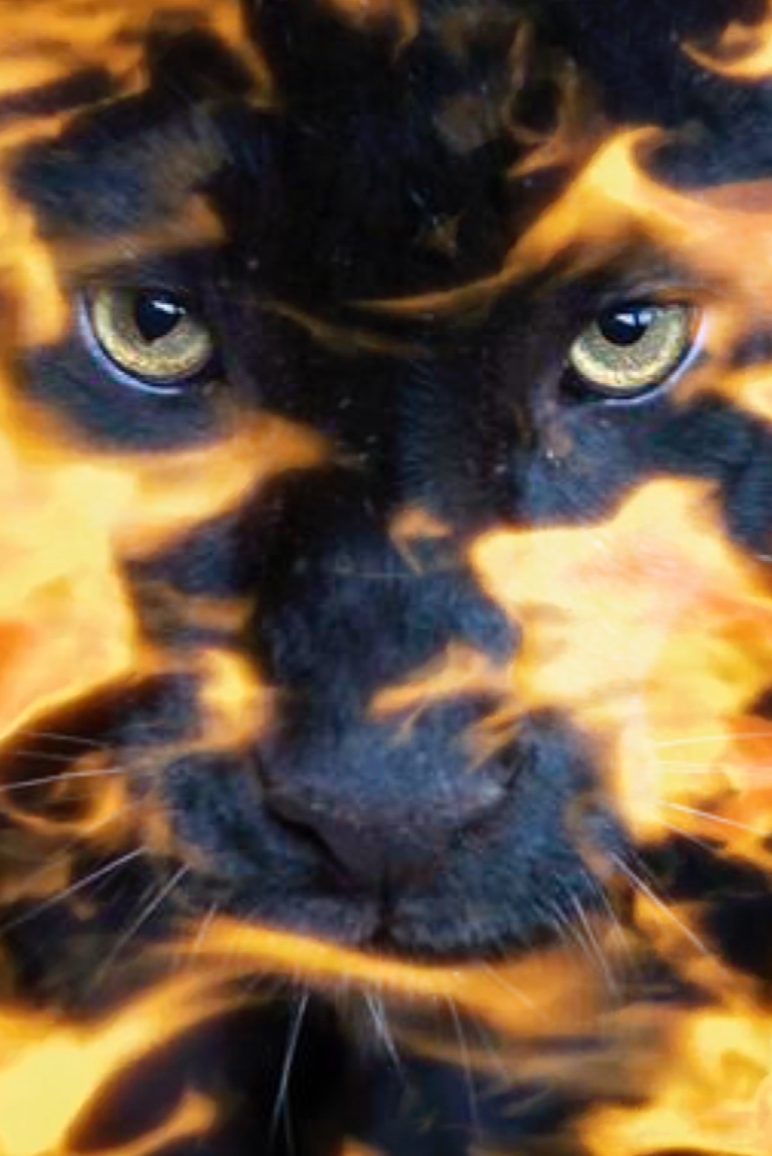 Black Panther 1