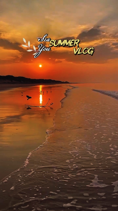 mer vlog d'été 