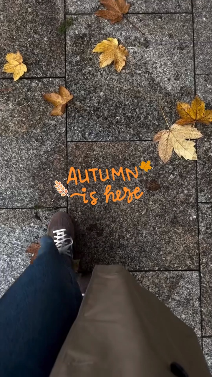 Autumn Vlog 🍁