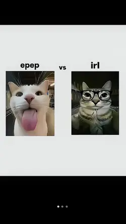 epep vs rl
