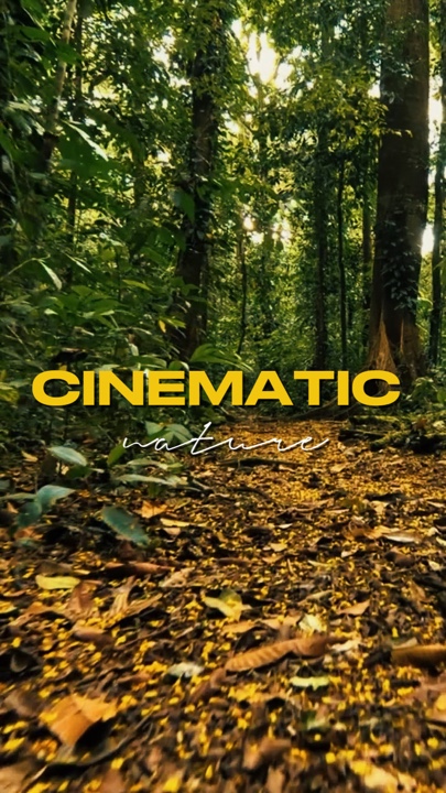 cinematic 