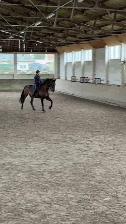 ‼️old vid‼️ miss ridin