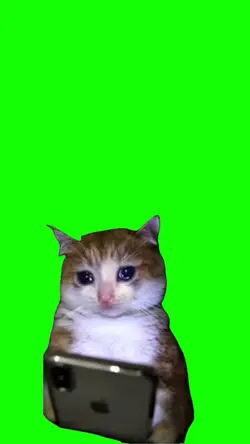 Gatito Triste