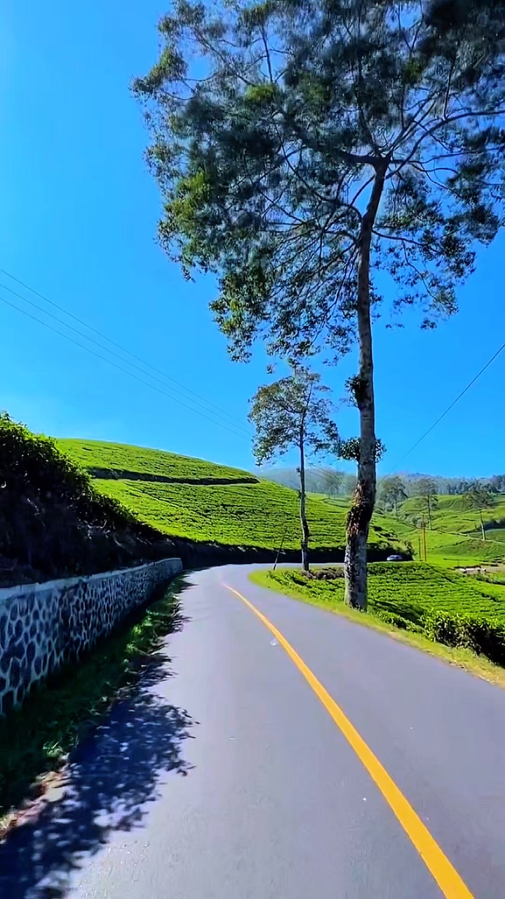 roadtrip story