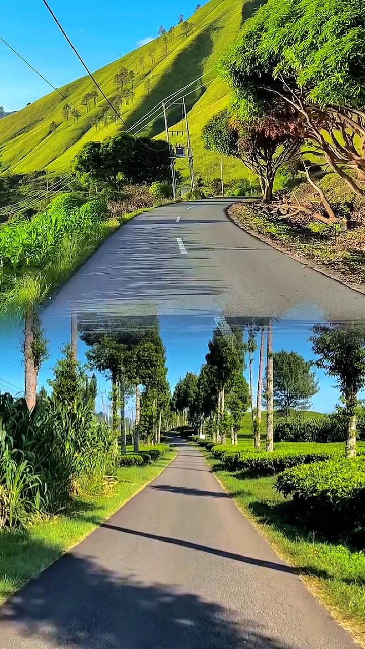 2 video 1 layout HD 