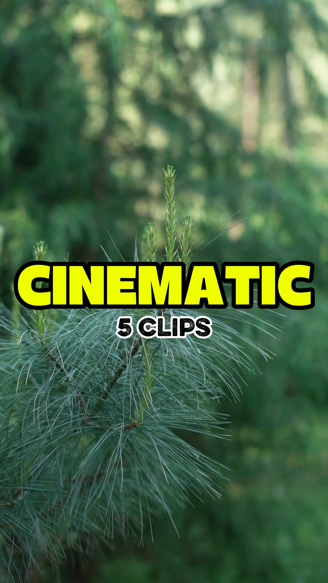 SİNEMATİK 5 KLİP 
