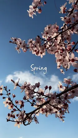 Spring