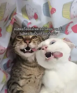 🤪