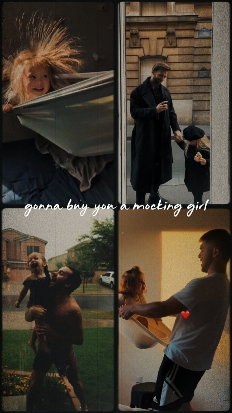 mocking bird 
