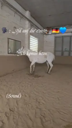Gegen die Afd