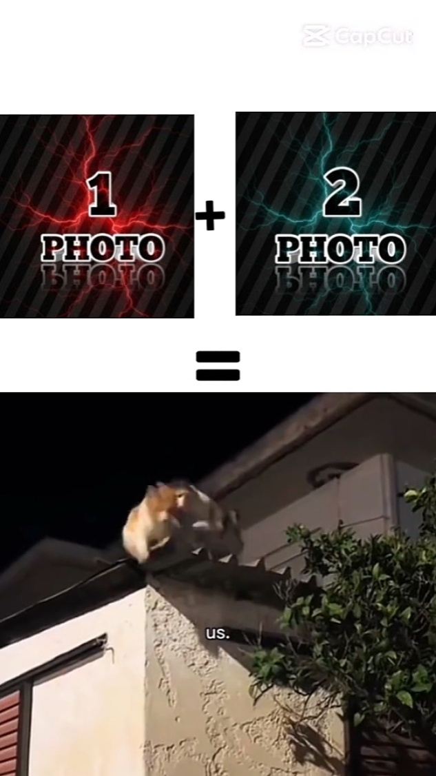 NEW EDIT