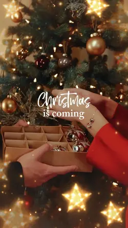Christmas is coming🎄
