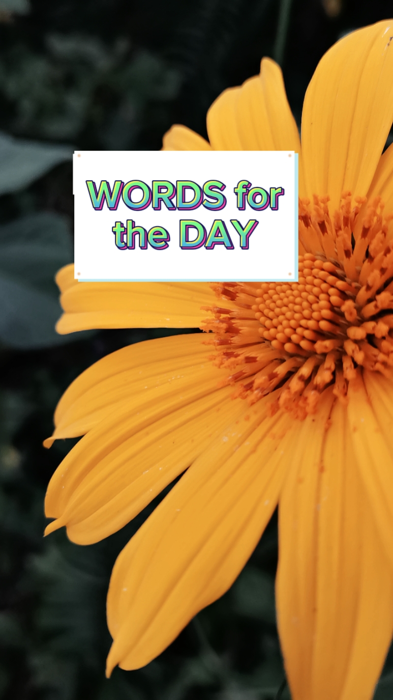 MOTIVATIONAL quotes 
