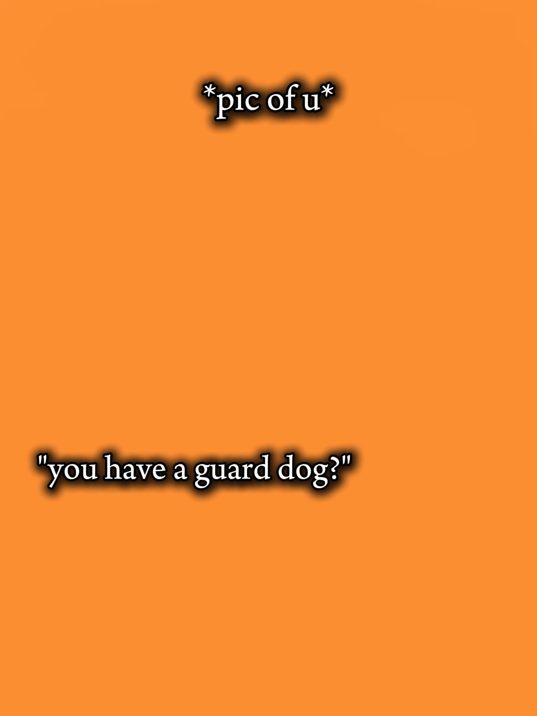 guard dog