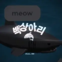 백상아리 청상아리