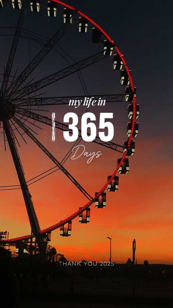 my life in 365 days