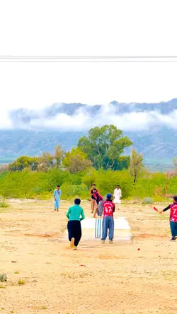 cricket editz