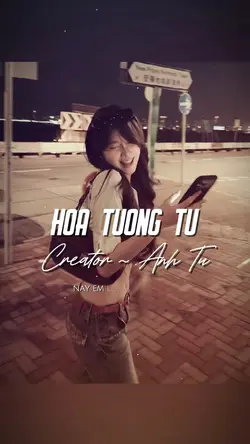 HOA TƯƠNG TƯ